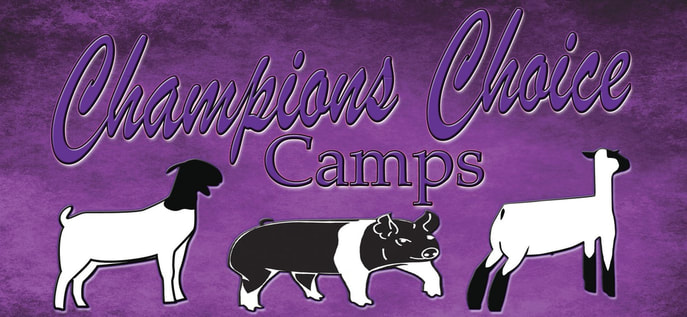 Champions Choice Camps